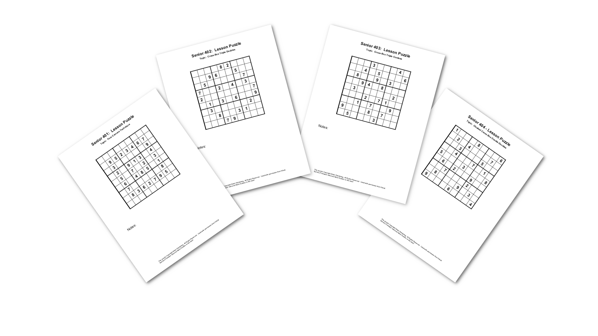 Senior Lesson Puzzles